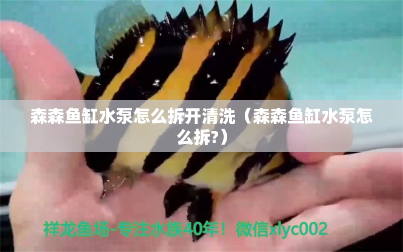 森森魚缸水泵怎么拆開清洗（森森魚缸水泵怎么拆?）