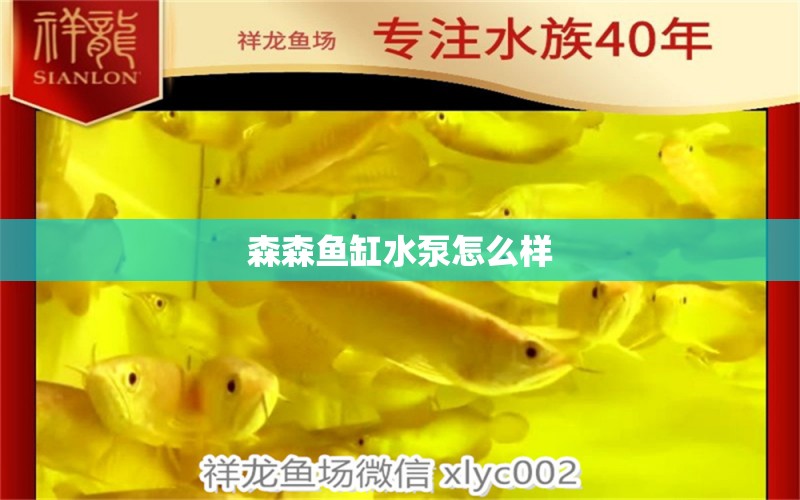 森森魚缸水泵怎么樣 森森魚缸 第1張