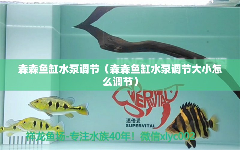 森森魚(yú)缸水泵調(diào)節(jié)（森森魚(yú)缸水泵調(diào)節(jié)大小怎么調(diào)節(jié)）