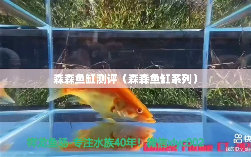 森森魚(yú)缸測(cè)評(píng)（森森魚(yú)缸系列） 過(guò)濾設(shè)備