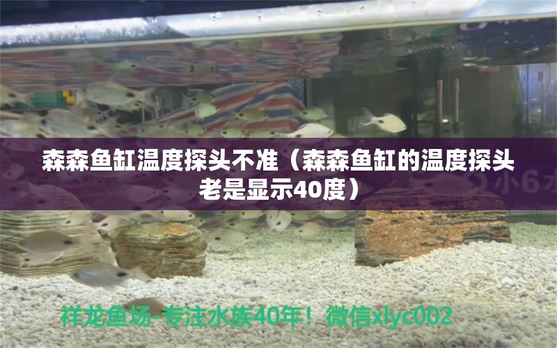 森森魚缸溫度探頭不準(zhǔn)（森森魚缸的溫度探頭老是顯示40度）