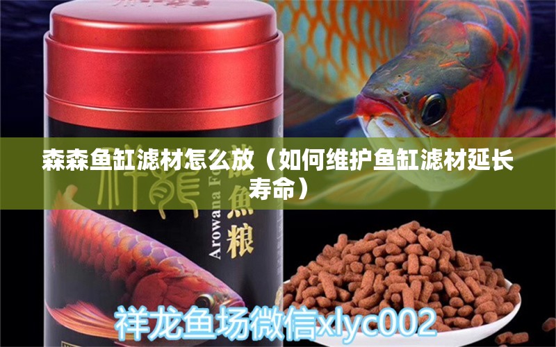 森森魚缸濾材怎么放（如何維護魚缸濾材延長壽命） 龍魚百科 第2張