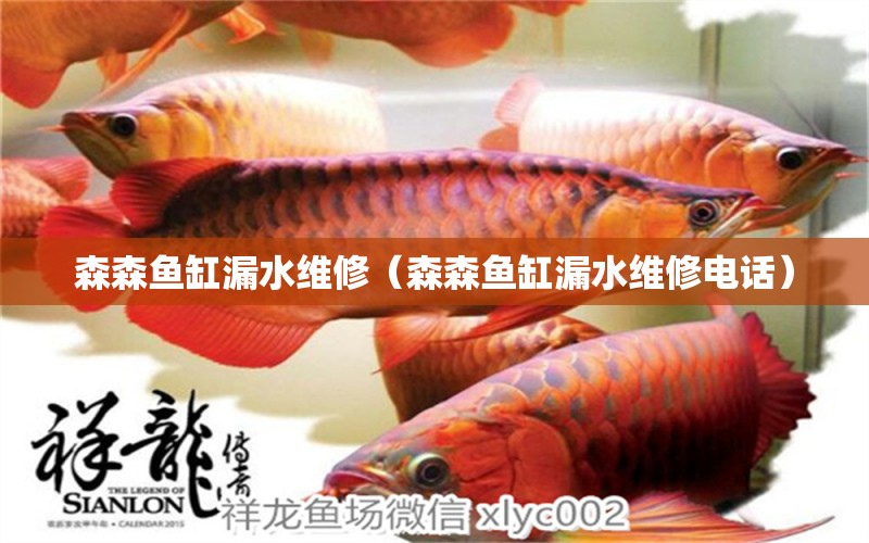 森森魚缸漏水維修（森森魚缸漏水維修電話）