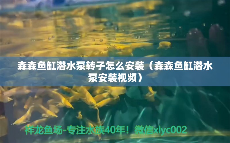 森森魚缸潛水泵轉(zhuǎn)子怎么安裝（森森魚缸潛水泵安裝視頻） 過濾設(shè)備