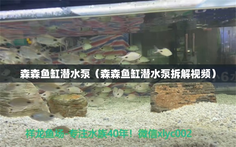 森森魚缸潛水泵（森森魚缸潛水泵拆解視頻）