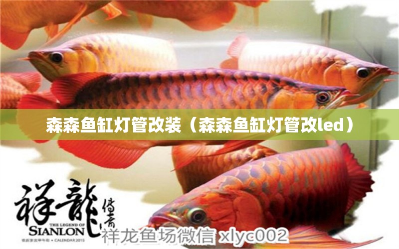 森森魚缸燈管改裝（森森魚缸燈管改led） 斑馬鴨嘴魚苗