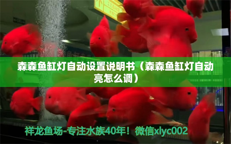 森森魚缸燈自動(dòng)設(shè)置說明書（森森魚缸燈自動(dòng)亮怎么調(diào)）