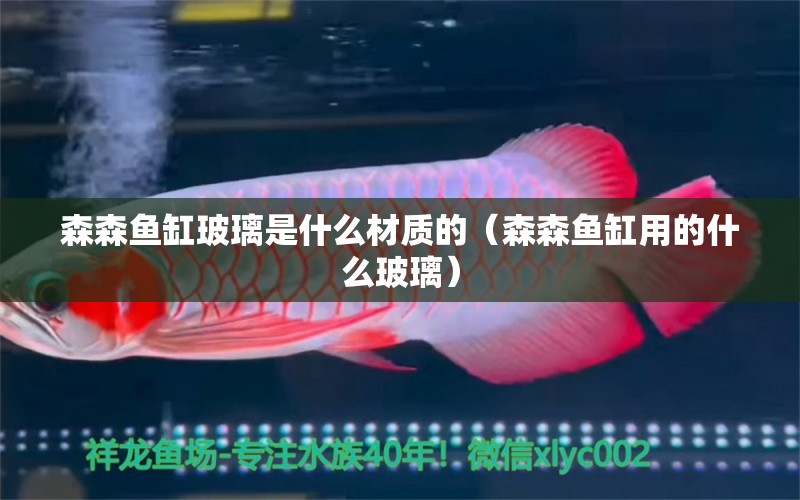 森森魚缸玻璃是什么材質(zhì)的（森森魚缸用的什么玻璃） 森森魚缸