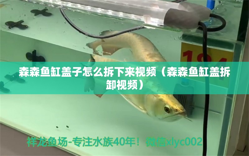 森森魚缸蓋子怎么拆下來視頻（森森魚缸蓋拆卸視頻）