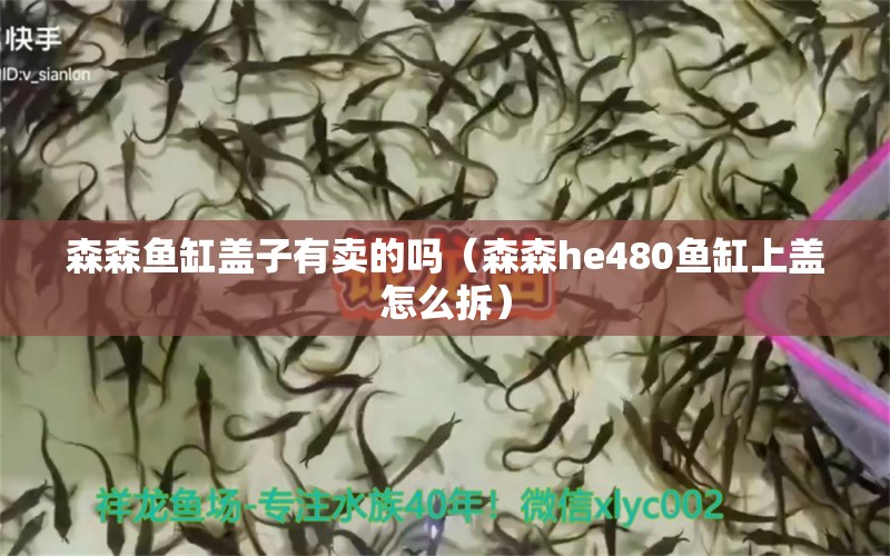 森森魚缸蓋子有賣的嗎（森森h(huán)e480魚缸上蓋怎么拆）