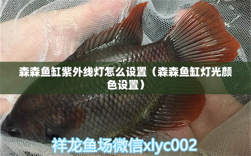 森森魚缸紫外線燈怎么設(shè)置（森森魚缸燈光顏色設(shè)置） 森森魚缸