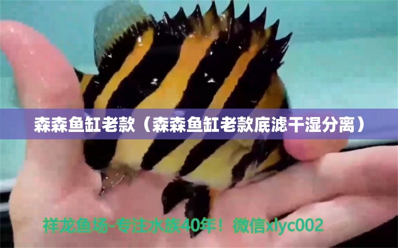 森森魚缸老款（森森魚缸老款底濾干濕分離） 潛水艇魚