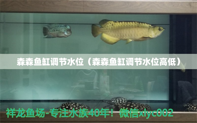 森森魚缸調(diào)節(jié)水位（森森魚缸調(diào)節(jié)水位高低）