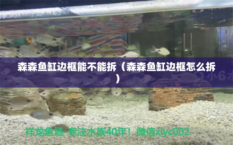 森森魚缸邊框能不能拆（森森魚缸邊框怎么拆） 森森魚缸