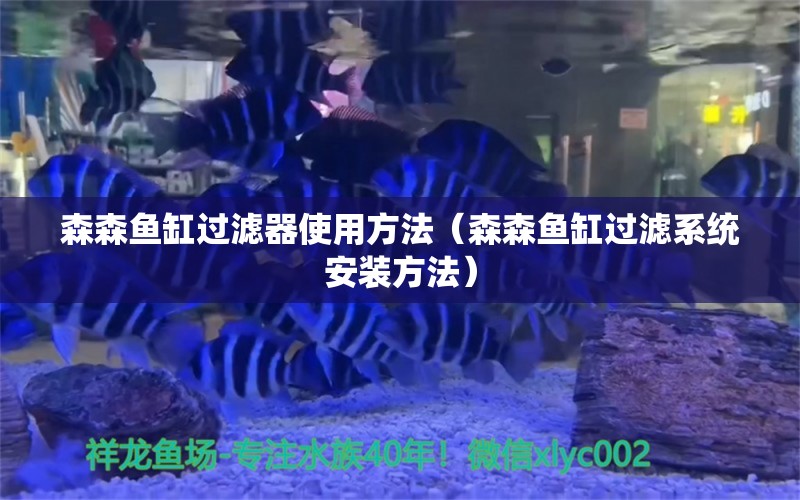 森森魚缸過濾器使用方法（森森魚缸過濾系統(tǒng)安裝方法）