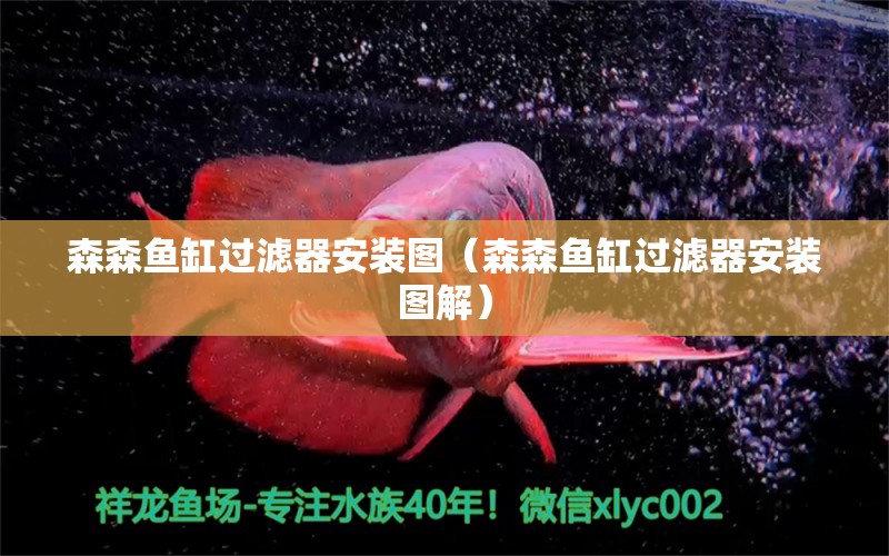 森森魚缸過濾器安裝圖（森森魚缸過濾器安裝圖解） 過濾設(shè)備