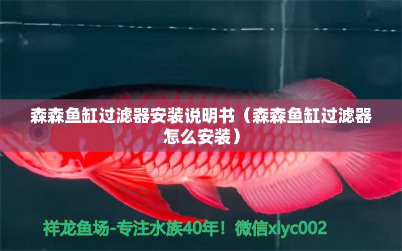 森森魚缸過濾器安裝說明書（森森魚缸過濾器怎么安裝）