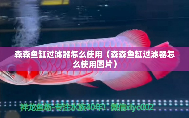 森森魚缸過濾器怎么使用（森森魚缸過濾器怎么使用圖片） 森森魚缸