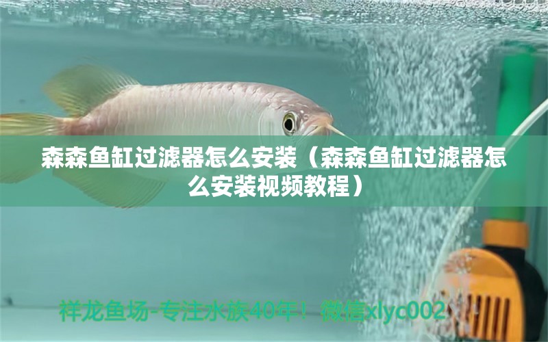 森森魚缸過濾器怎么安裝（森森魚缸過濾器怎么安裝視頻教程）