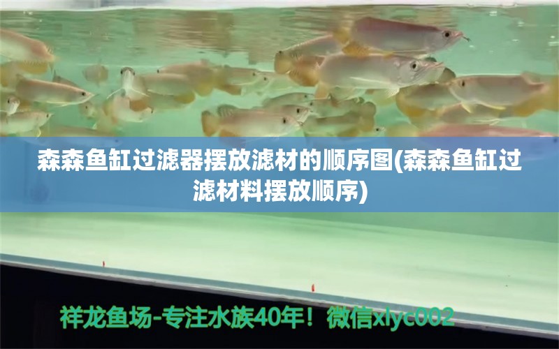 森森魚(yú)缸過(guò)濾器擺放濾材的順序圖(森森魚(yú)缸過(guò)濾材料擺放順序) 大日玉鯖魚(yú)