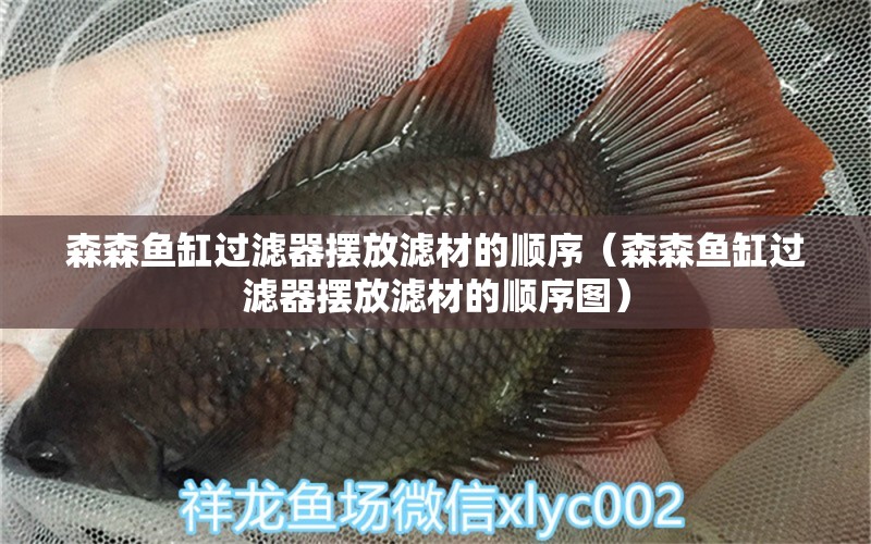 森森魚(yú)缸過(guò)濾器擺放濾材的順序（森森魚(yú)缸過(guò)濾器擺放濾材的順序圖） 森森魚(yú)缸