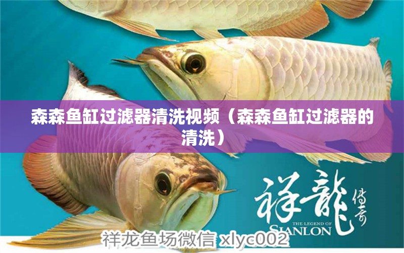 森森魚(yú)缸過(guò)濾器清洗視頻（森森魚(yú)缸過(guò)濾器的清洗） 廣州龍魚(yú)批發(fā)市場(chǎng)