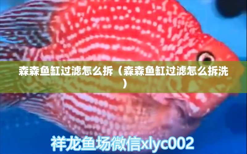 森森魚缸過(guò)濾怎么拆（森森魚缸過(guò)濾怎么拆洗） 森森魚缸