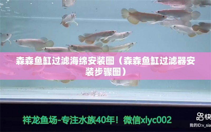 森森魚缸過濾海綿安裝圖（森森魚缸過濾器安裝步驟圖）