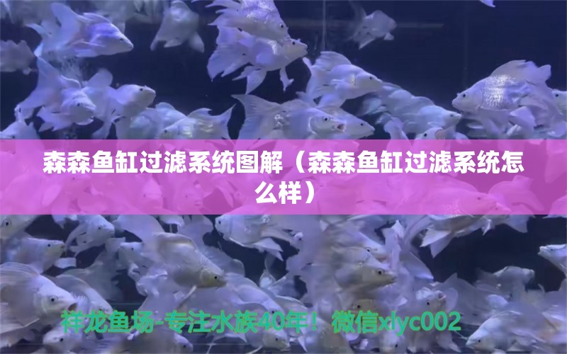 森森魚(yú)缸過(guò)濾系統(tǒng)圖解（森森魚(yú)缸過(guò)濾系統(tǒng)怎么樣）