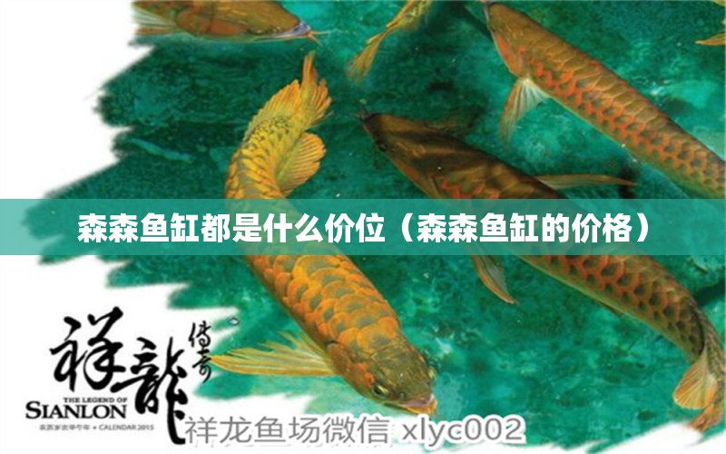 森森魚缸都是什么價位（森森魚缸的價格） iwish愛唯希品牌魚缸