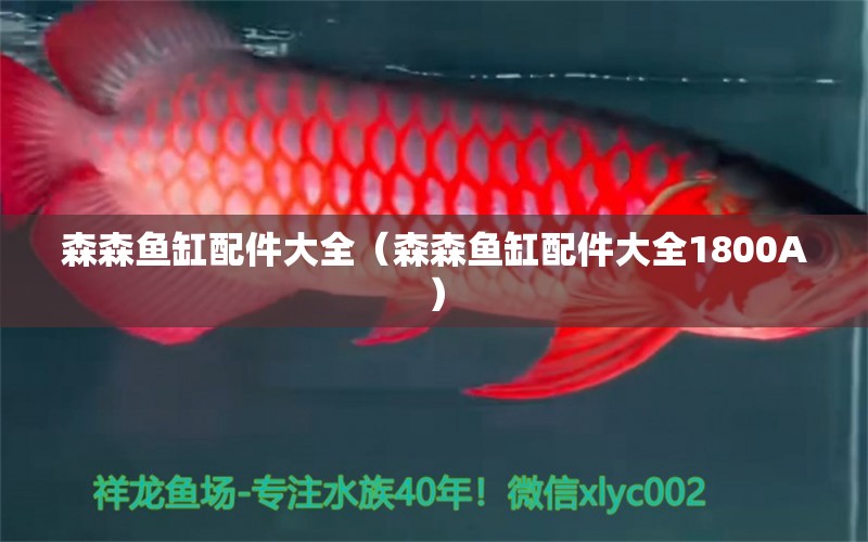 森森魚缸配件大全（森森魚缸配件大全1800A） 過濾設備