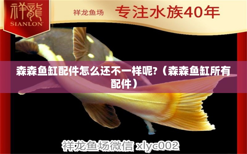 森森魚缸配件怎么還不一樣呢?（森森魚缸所有配件） 廣州龍魚批發(fā)市場