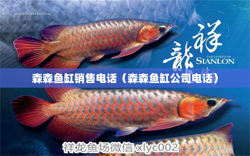 森森魚缸銷售電話（森森魚缸公司電話）