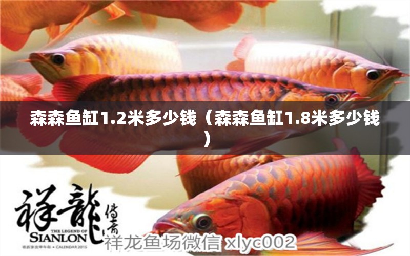 森森魚缸1.2米多少錢（森森魚缸1.8米多少錢）