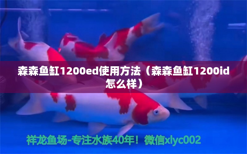 森森魚(yú)缸1200ed使用方法（森森魚(yú)缸1200id怎么樣）