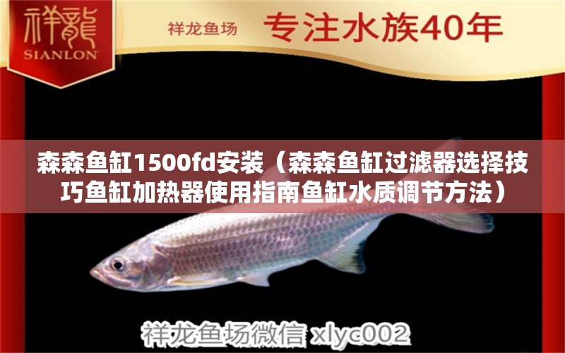 森森魚缸1500fd安裝（森森魚缸過濾器選擇技巧魚缸加熱器使用指南魚缸水質(zhì)調(diào)節(jié)方法）