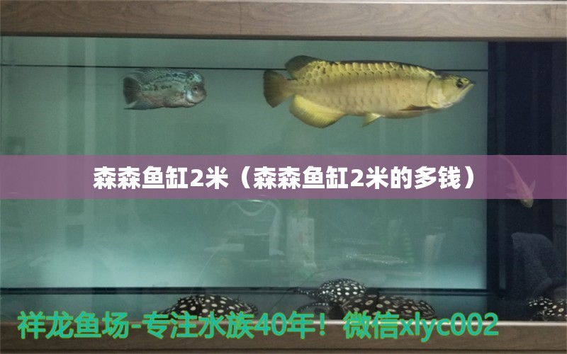 森森魚缸2米（森森魚缸2米的多錢）