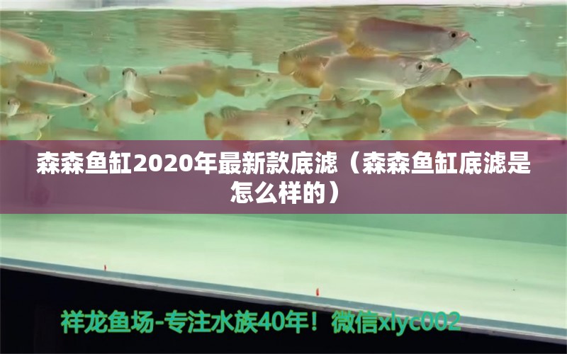 森森魚缸2020年最新款底濾（森森魚缸底濾是怎么樣的） 森森魚缸