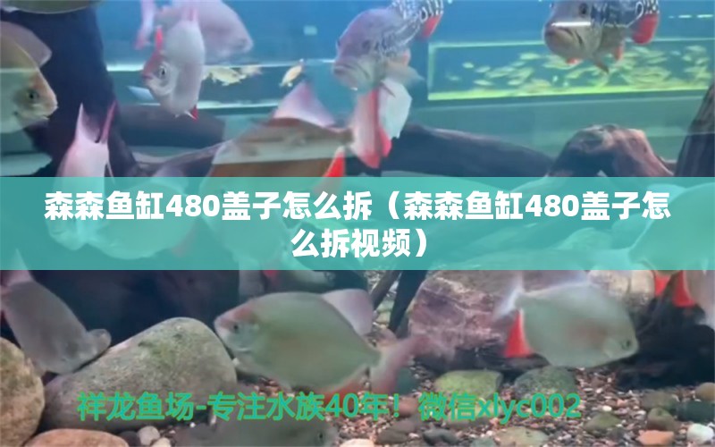 森森魚缸480蓋子怎么拆（森森魚缸480蓋子怎么拆視頻）