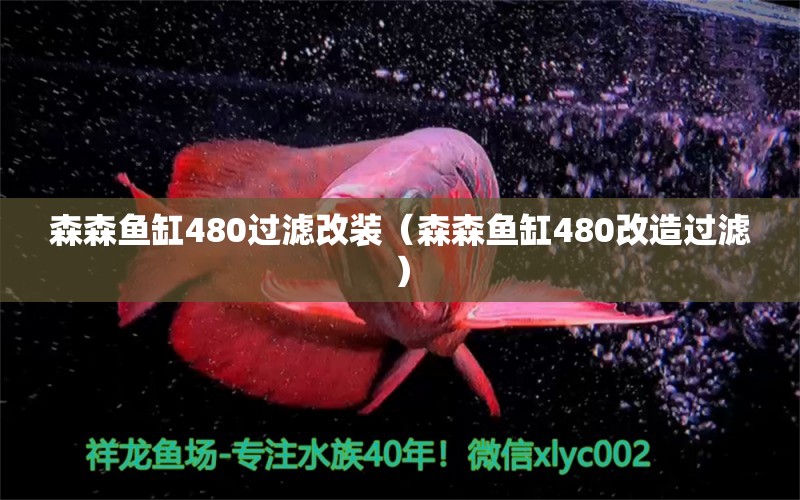 森森魚缸480過濾改裝（森森魚缸480改造過濾）