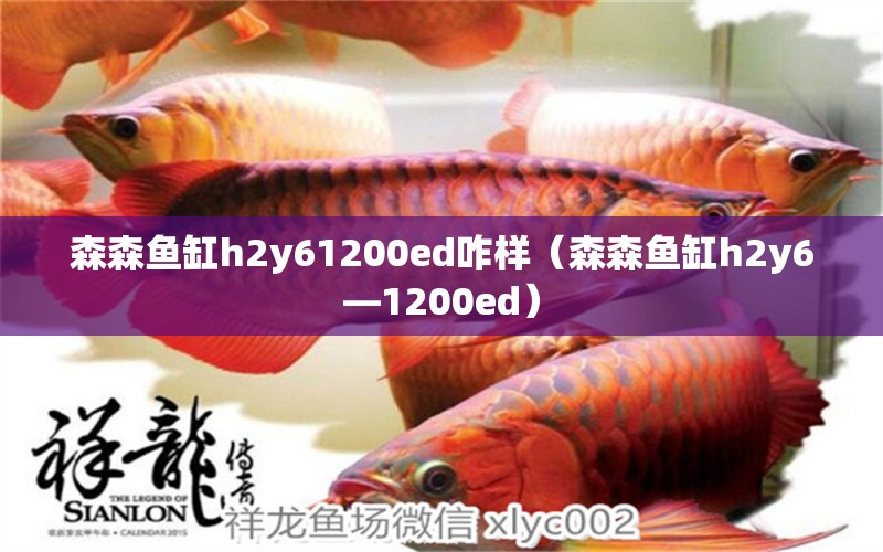 森森魚缸h2y61200ed咋樣（森森魚缸h2y6—1200ed） 森森魚缸