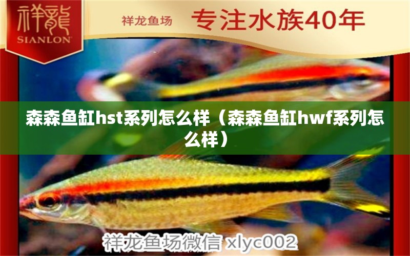 森森魚(yú)缸hst系列怎么樣（森森魚(yú)缸hwf系列怎么樣）