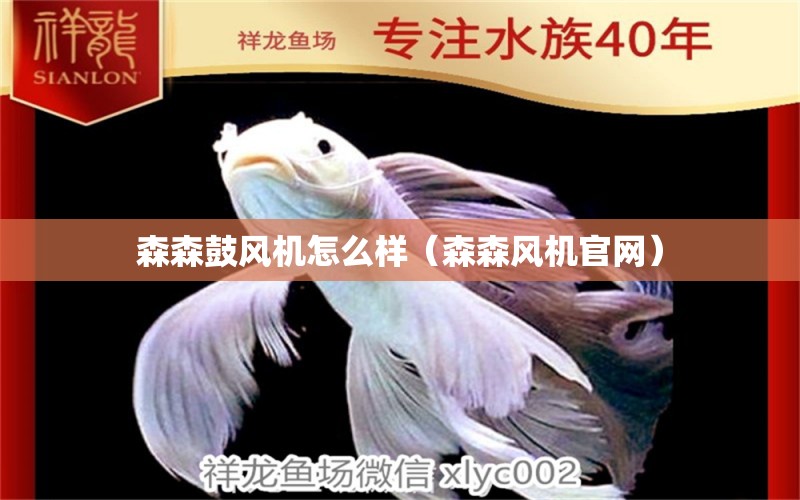 森森鼓風(fēng)機怎么樣（森森風(fēng)機官網(wǎng)）