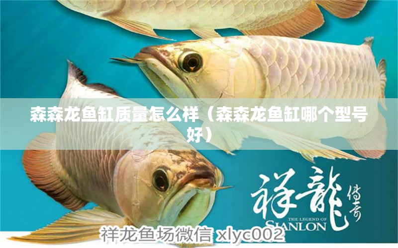 森森龍魚缸質(zhì)量怎么樣（森森龍魚缸哪個型號好） 森森魚缸