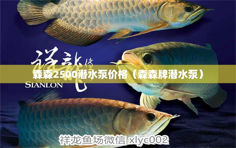 森森2500潛水泵價(jià)格（森森牌潛水泵） 森森魚(yú)缸