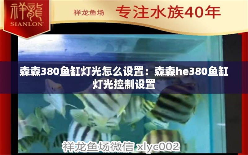 森森380魚缸燈光怎么設(shè)置：森森h(huán)e380魚缸燈光控制設(shè)置 觀賞魚