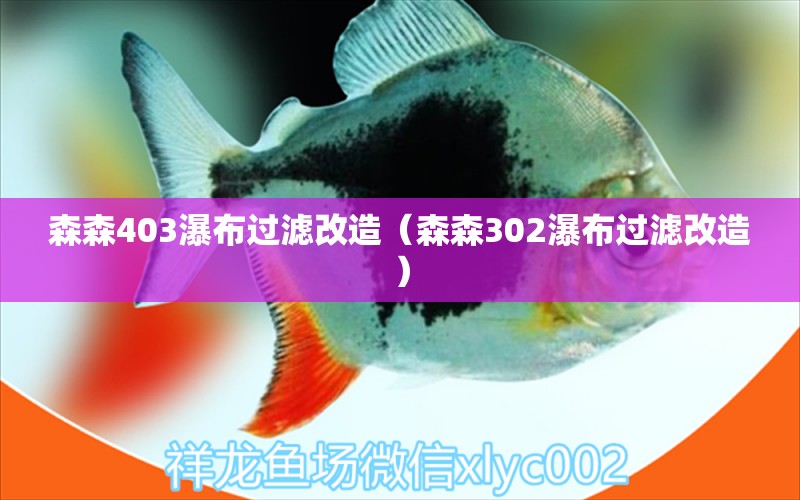 森森403瀑布過濾改造（森森302瀑布過濾改造） 森森魚缸