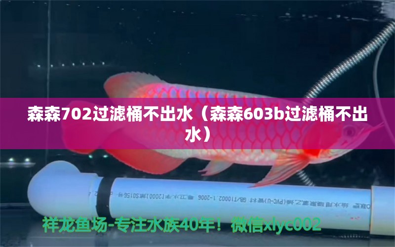 森森702過濾桶不出水（森森603b過濾桶不出水） 森森魚缸