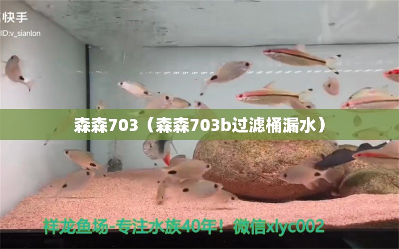 森森703（森森703b過(guò)濾桶漏水） 森森魚缸