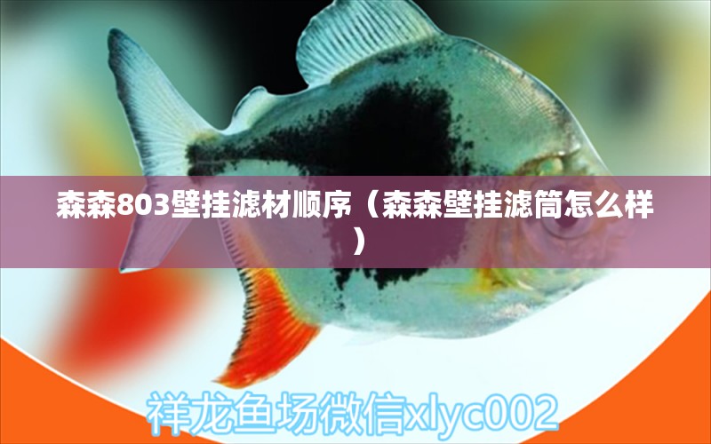 森森803壁掛濾材順序（森森壁掛濾筒怎么樣）